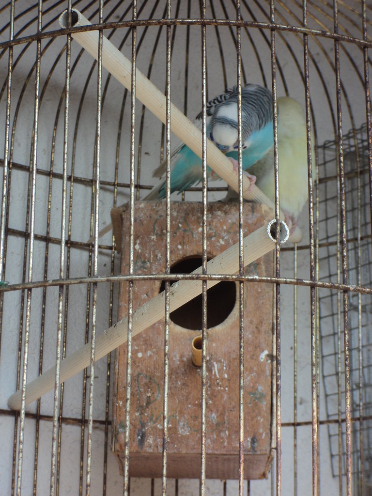 Foto 6